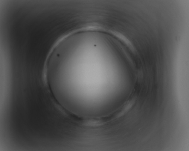 X0000100931374200807081203