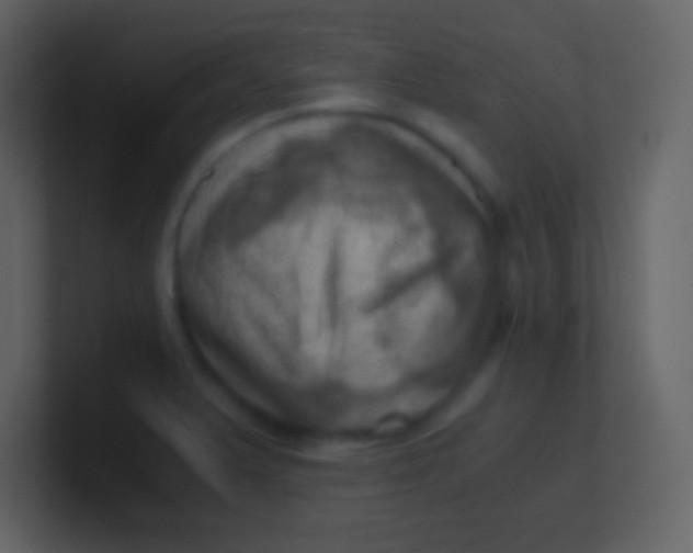 X0000100931375200807081203