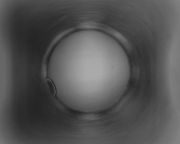 X0000100931376200807081203