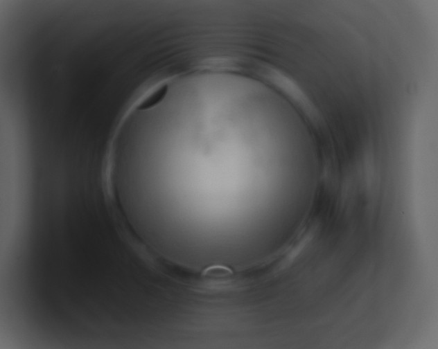 X0000100931378200807081203