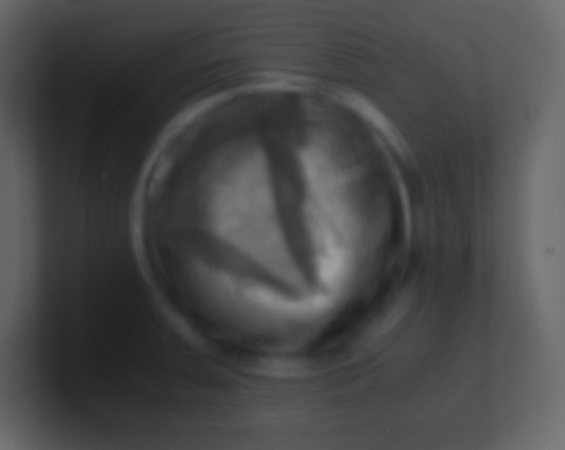 X0000100931379200807081203