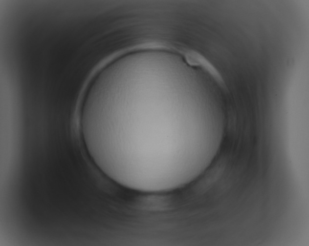 X0000100931380200807081203