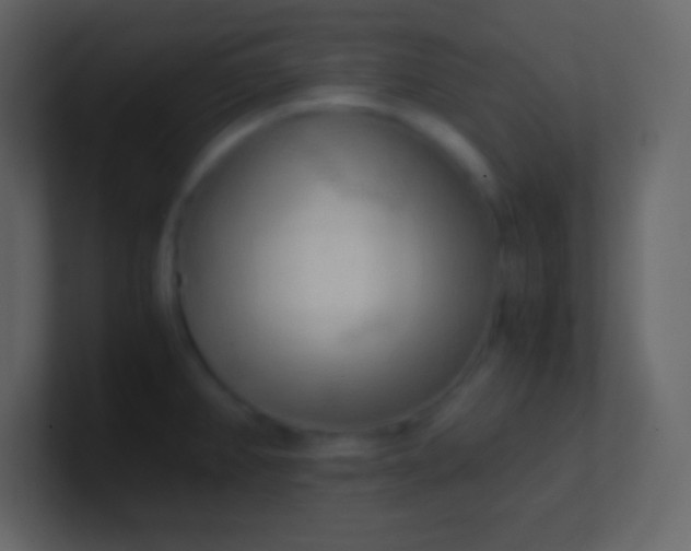 X0000100931382200807081203