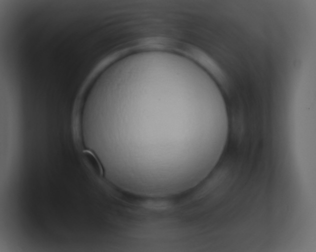 X0000100931384200807081203