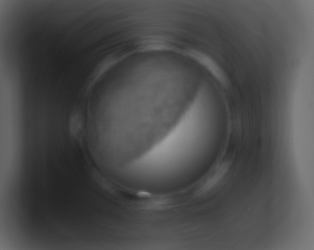 X0000100931385200807081203