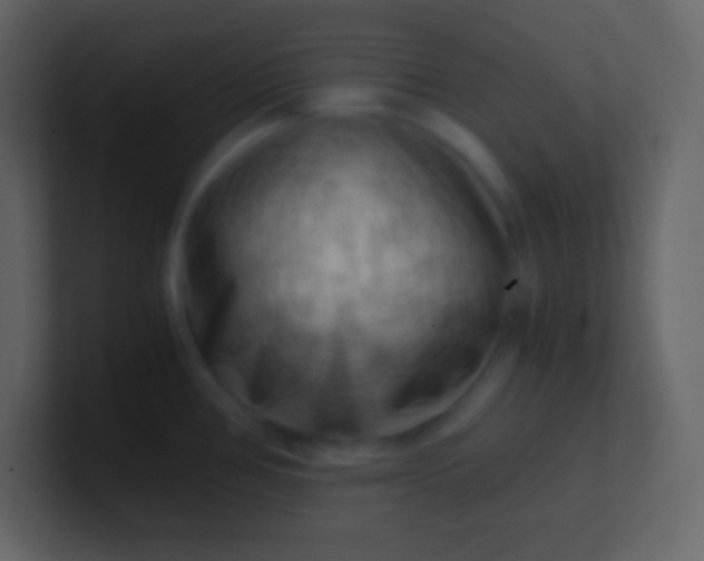 X0000100931386200807081203