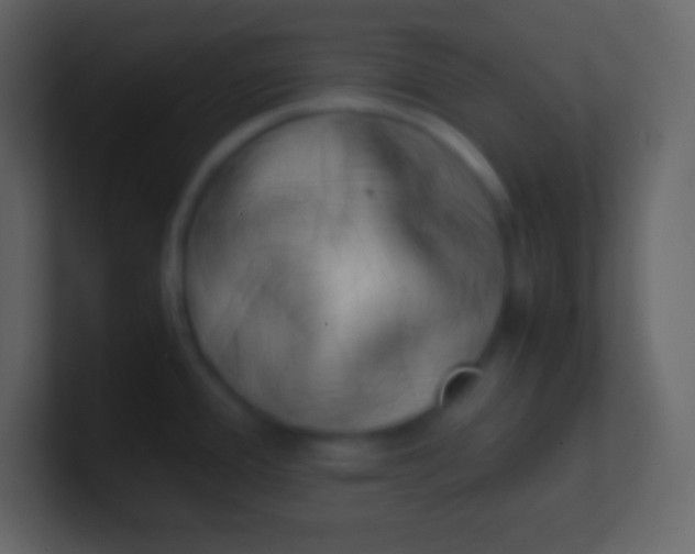 X0000100931388200807081203