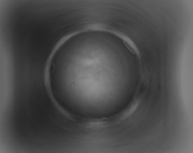 X0000100931389200807081203