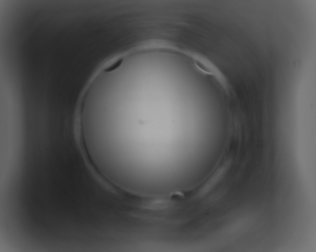 X0000100931390200807081203