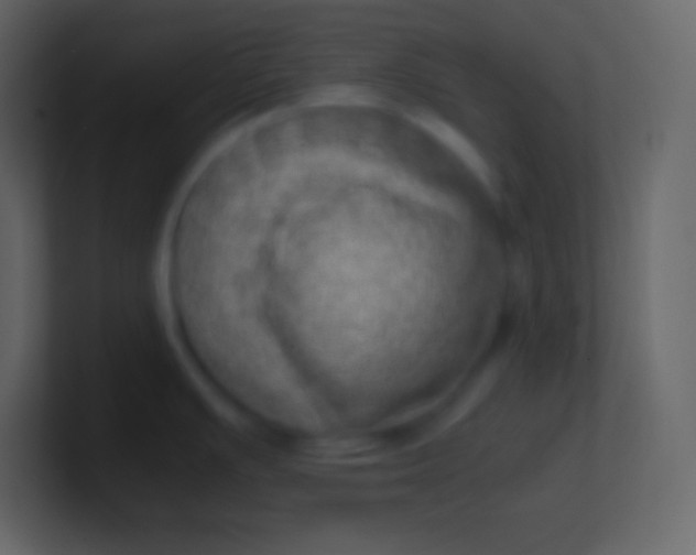 X0000100931391200807081203