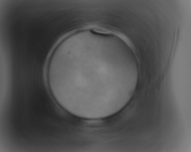 X0000100931392200807081203