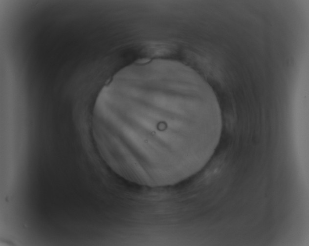 X0000100931393200807081202