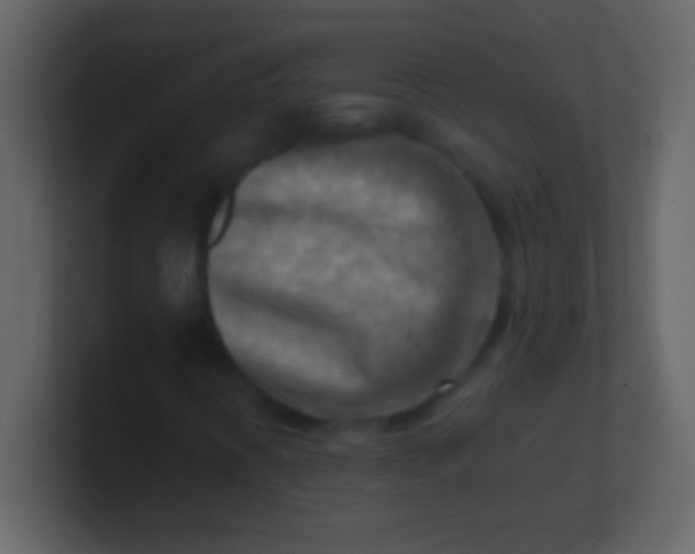 X0000100931394200807081202