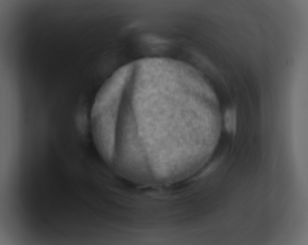 X0000100931395200807081203