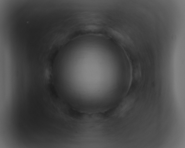 X0000100931397200807081203