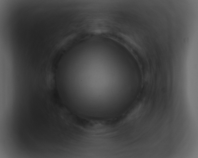 X0000100931398200807081203