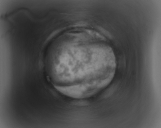 X0000100931400200807081203