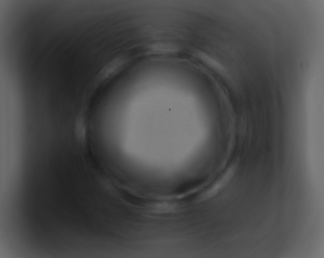 X0000100931401200807081203