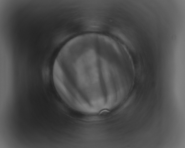 X0000100931402200807081203