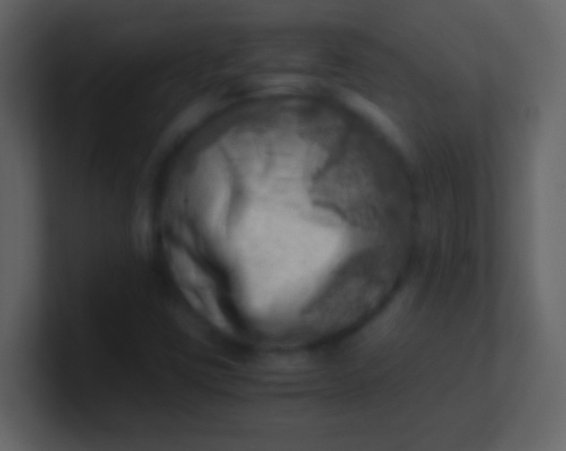 X0000100931403200807081203