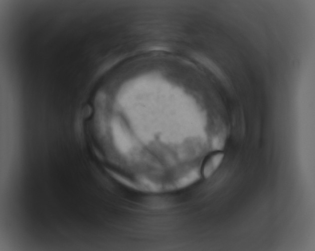 X0000100931404200807081203