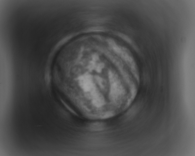 X0000100931406200807081203