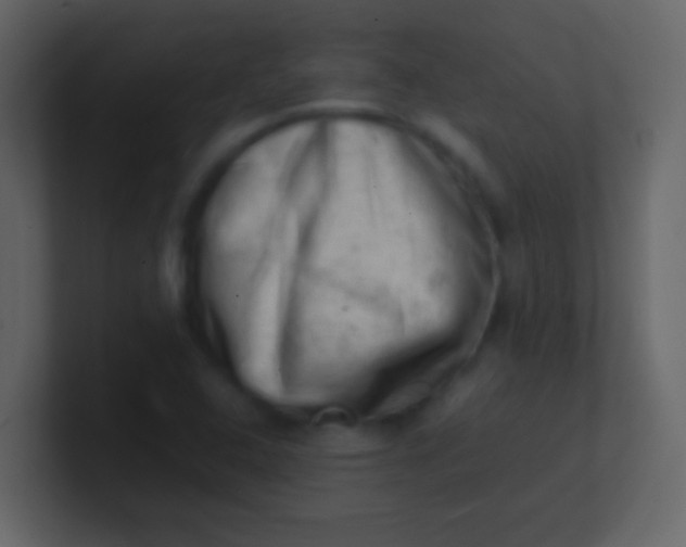 X0000100931408200807081203