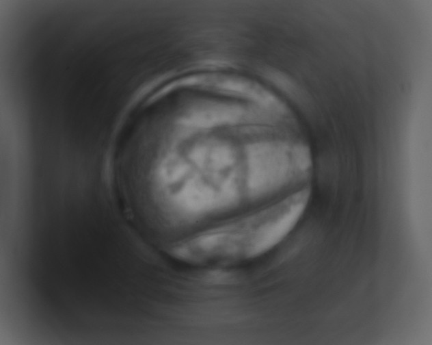 X0000100931412200807081203