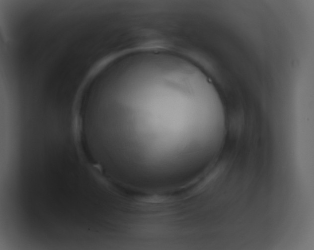 X0000100931414200807081203