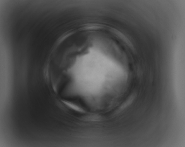 X0000100931417200807081203