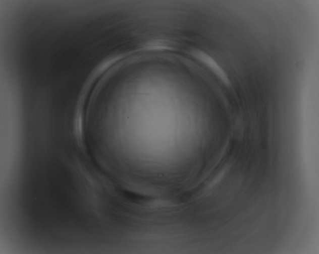 X0000100931419200807081203