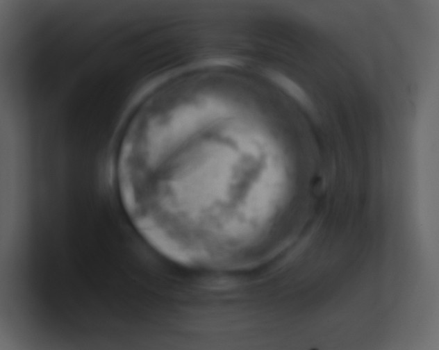 X0000100931420200807081203