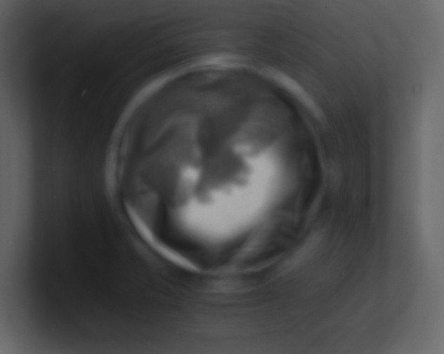 X0000100931421200807081203