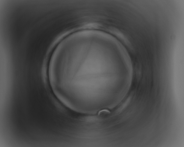 X0000100931422200807081203