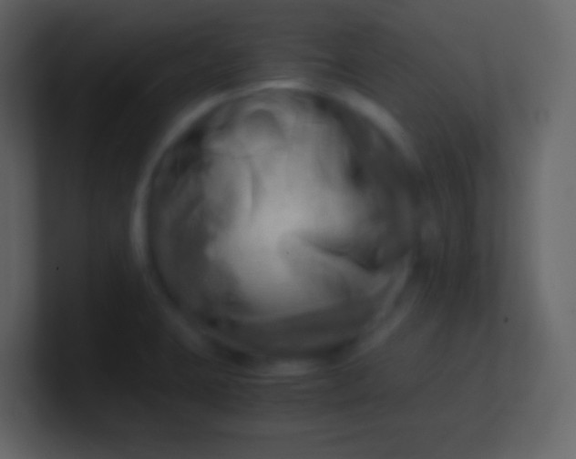 X0000100931423200807081203