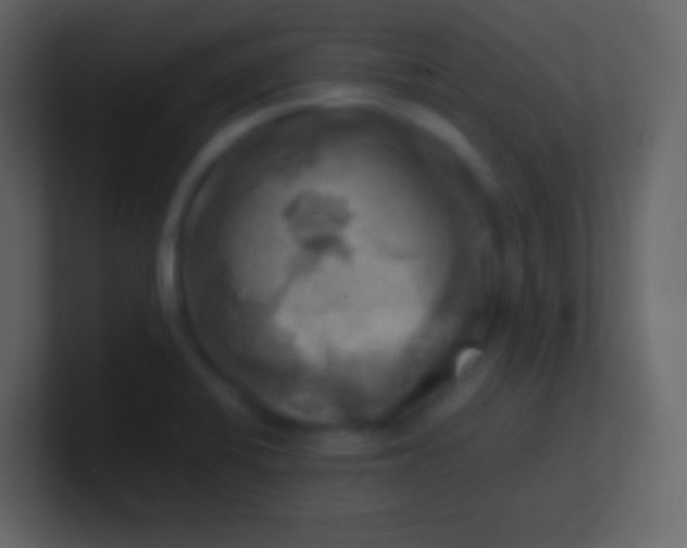 X0000100931424200807081203