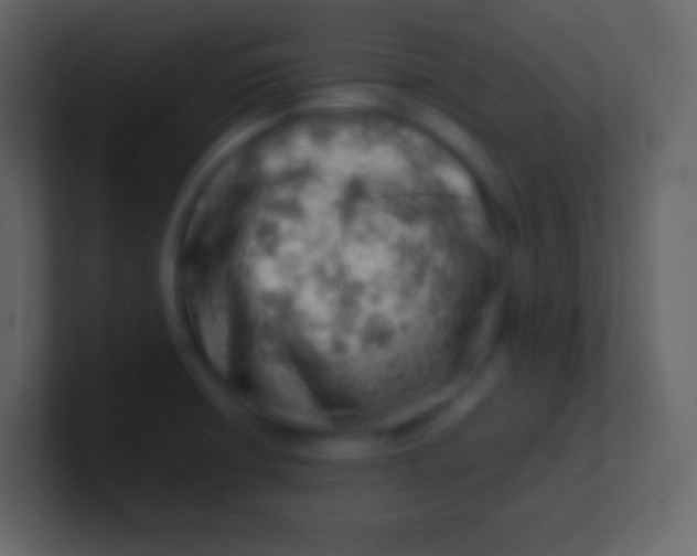 X0000100931426200807081203