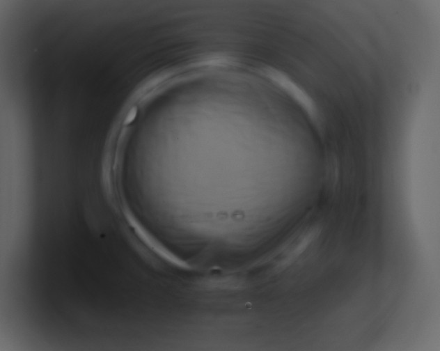 X0000100931429200807081203