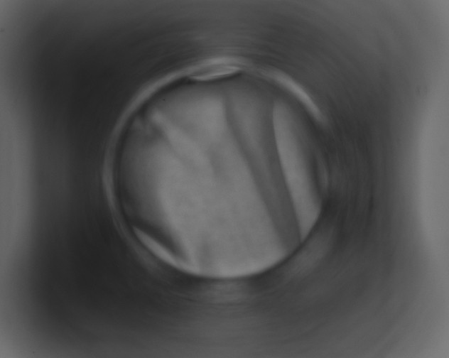 X0000100931430200807081203