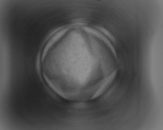 X0000100931431200807081203