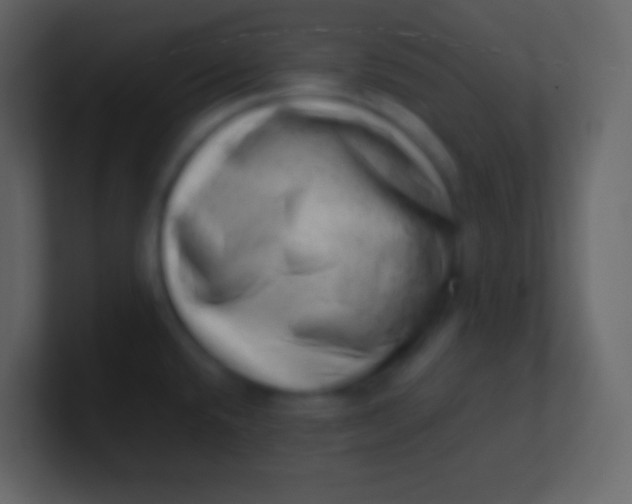 X0000100931432200807081203