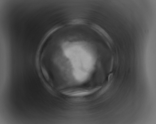 X0000100931434200807081203