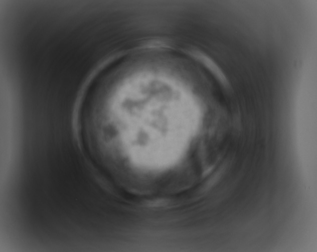 X0000100931435200807081203