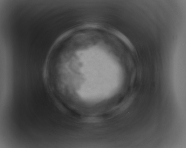 X0000100931436200807081203