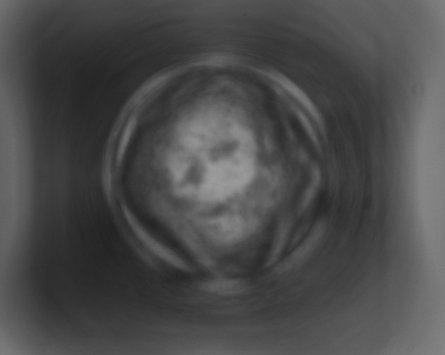 X0000100931437200807081203