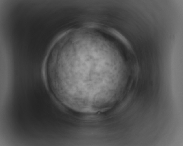 X0000100931439200807081203