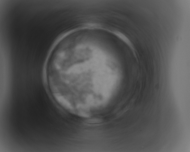 X0000100931440200807081203