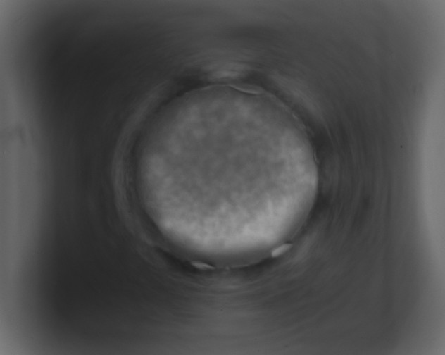 X0000100931441200807081202