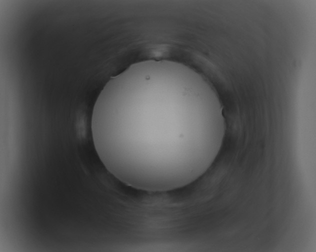 X0000100931442200807081202