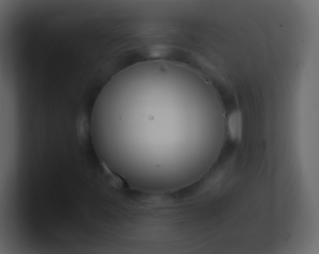 X0000100931443200807081202